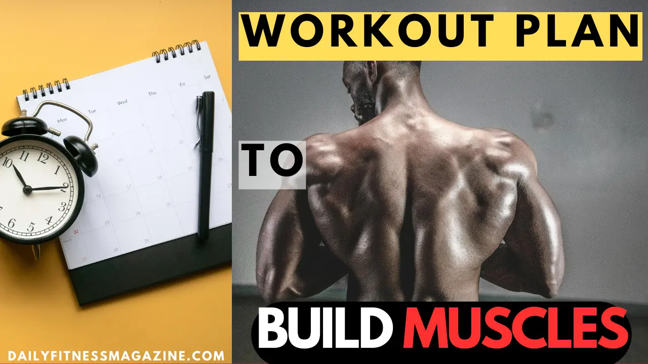 Effective Workout Plan to Build Muscle