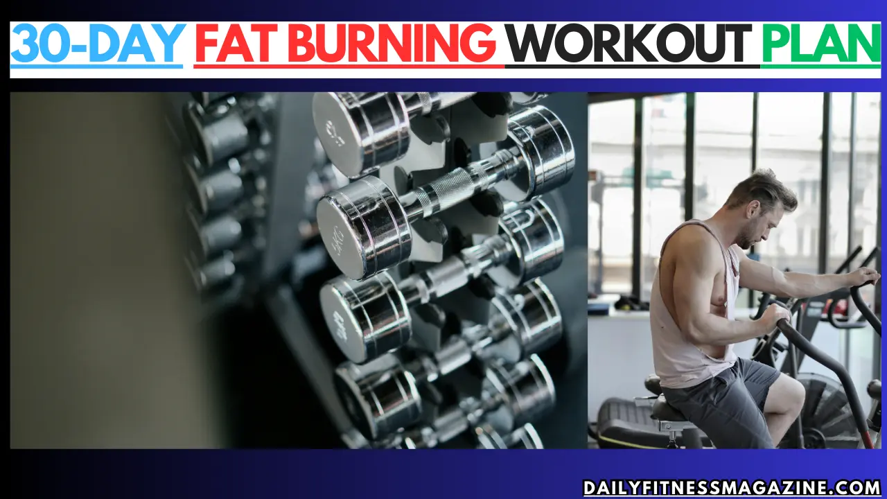 30 Day Fat Burning Workout